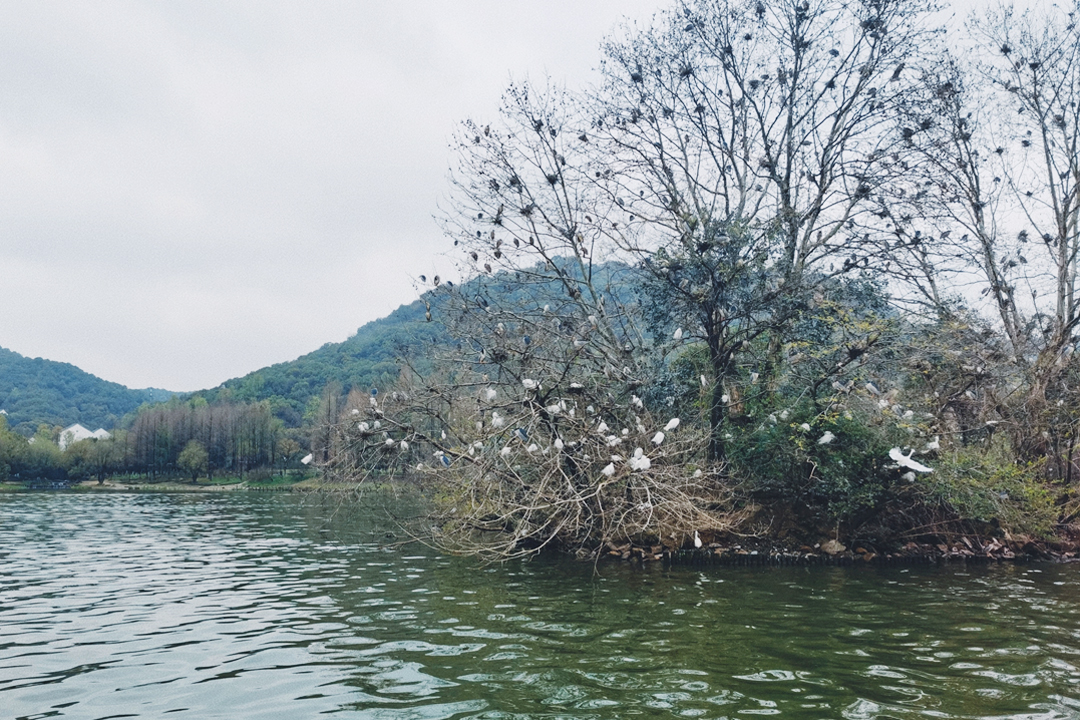 湘湖